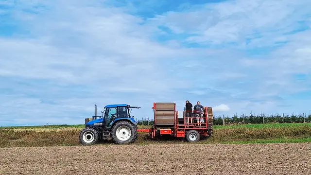 Die Einen Wandern, die andern ernten Kartoffeln | Foto: Albverein Weinsberg