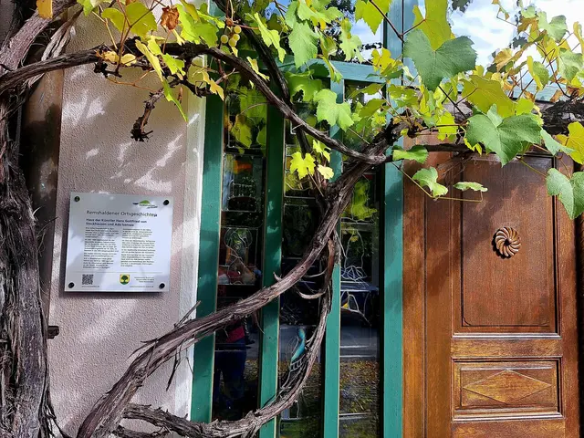 Ein herrlicher Blickfang am Hauseingang. | Foto: Isolde Reitz