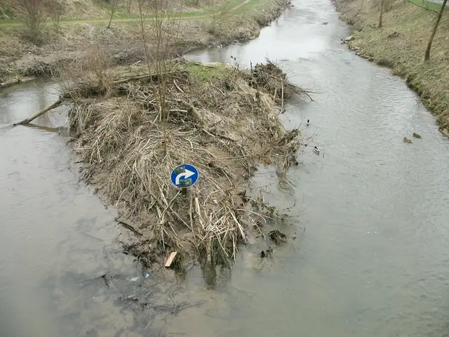 Foto: Rechts abbiegen