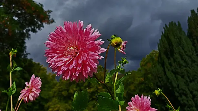 Foto: Ulrich Rank