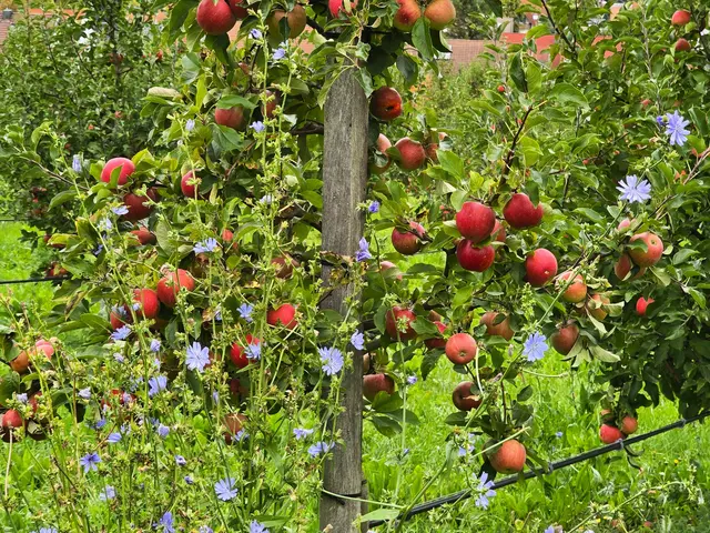 Foto: Heidrun Rosenberger