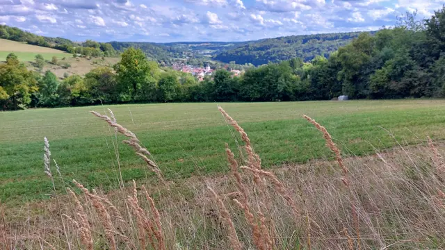 Aussicht vom Rundweg 3a | Foto: Elfriede Baier 