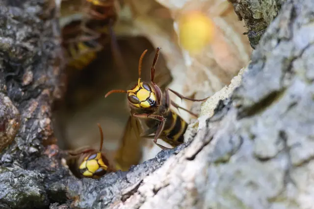 Warte, ich komme auch gleich | Foto: UD