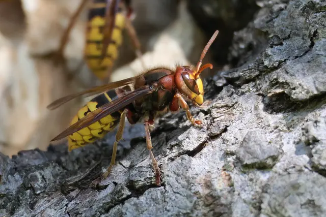 Sehe ich so gut aus? | Foto: UD