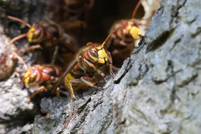 Ob sie mich wohl auch fotografiert? | Foto: UD