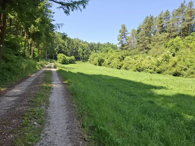 Lange Tal | Foto: J. Betz