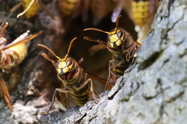 "Hallo", winke-winke | Foto: UD