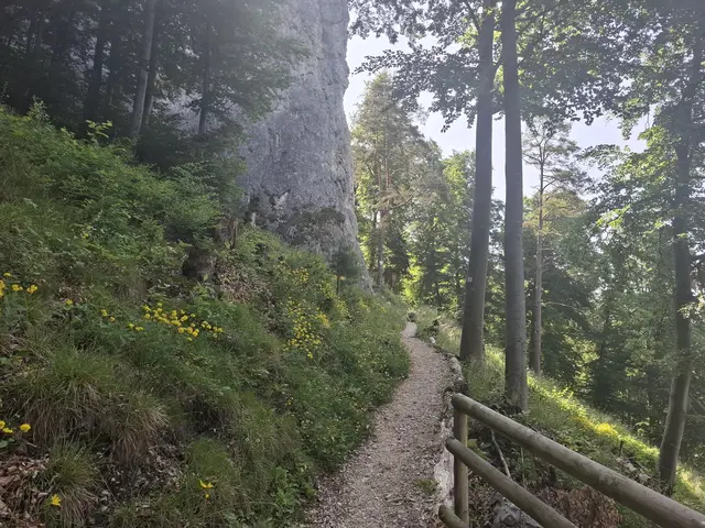 Geißenklösterle | Foto: J. Betz