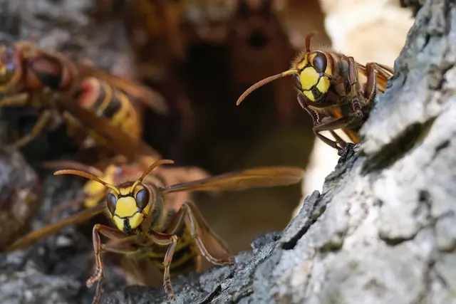 Wir sind bereit | Foto: UD