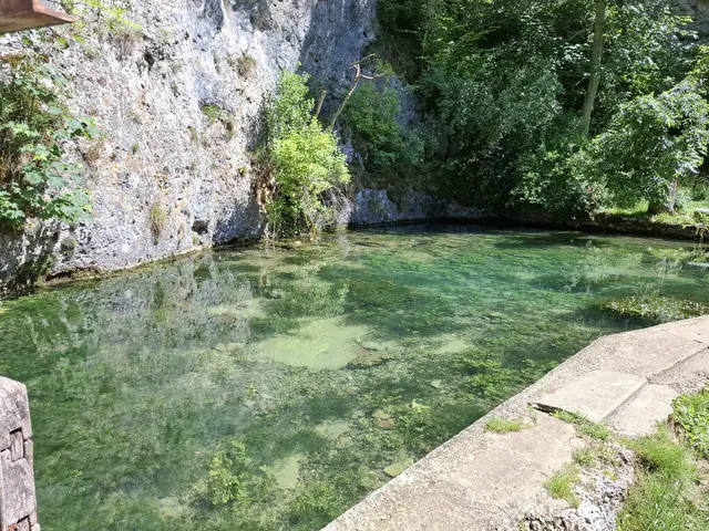 Kleine Lauter Karstquelle | Foto: J. Betz