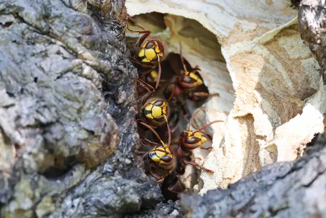 Was ist denn da draußen los? | Foto: UD