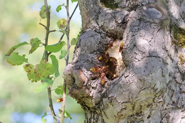Gruppenbild ;-) | Foto: UD