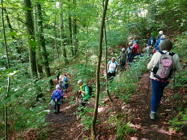 Oben hatten wir Pause gemacht und danach geht's im Wald weiter.  Ein schmaler Pfad bringt uns in Serpentinen abwärts.   | Foto: sigischlottke