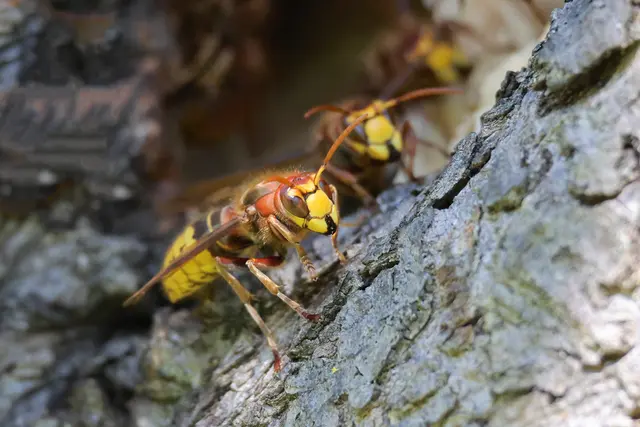 Ich warte mal noch etwas ab | Foto: UD