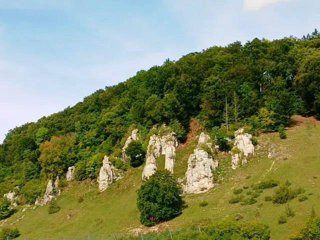 Am gegenüberliegenden Hang haben sich die albtypischen Jurafelsen wie zu einer Formation aufgestellt.   | Foto: sigischlottke