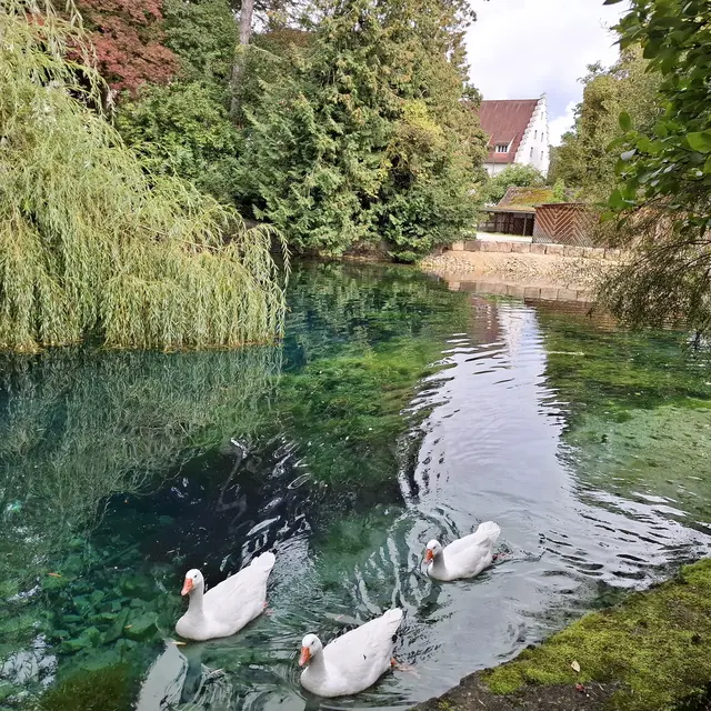 Urspringquelle | Foto: J. Betz