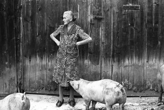 Ein Schnappschuss, den ich sicher nicht so schnell vergessen werde: Pauline Schmied, vor ihr das muntere Schwein, das am Saum ihrer Kittelschürze zupft und damit vermutlich einen Leckerbissen einfordert.  | Foto: Fotograf Roland Bauer