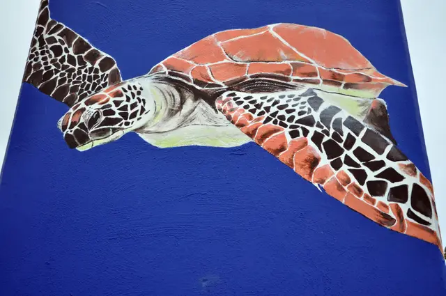 Schöne, gell? | Foto: Daniela Somers