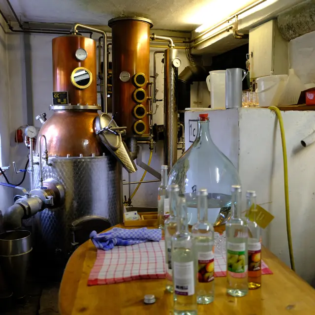 Foto: Eduard Warenik