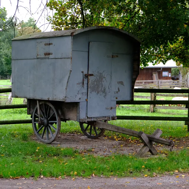 Foto: Eduard Warenik