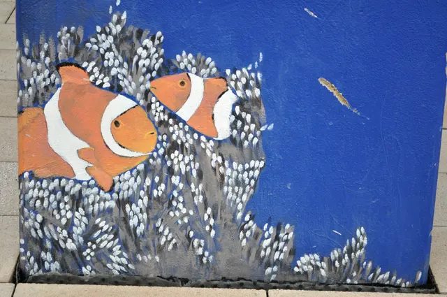 Wasserbewohner am Sprungturm. | Foto: Daniela Somers