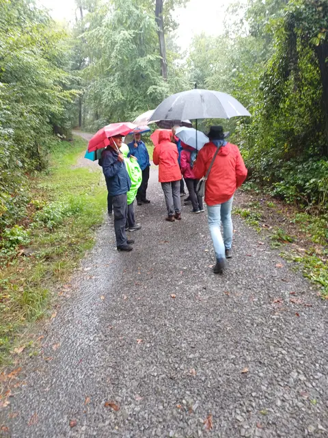 durch den Stadtwald Heilbronn | Foto: E. Rosendorf