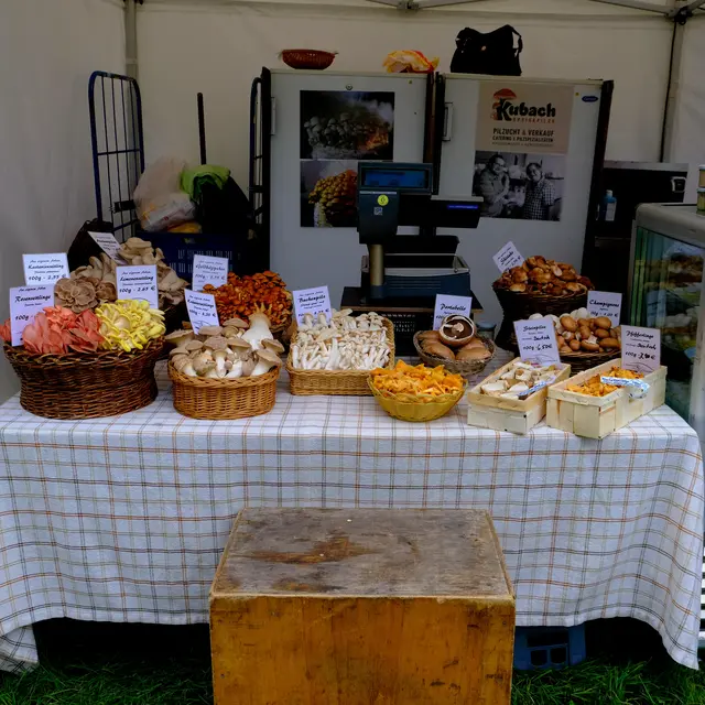 Foto: Eduard Warenik