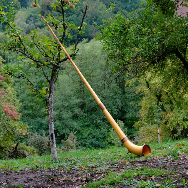 Foto: Eduard Warenik