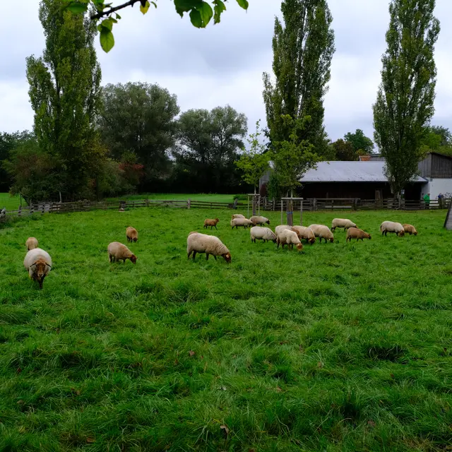 Foto: Eduard Warenik