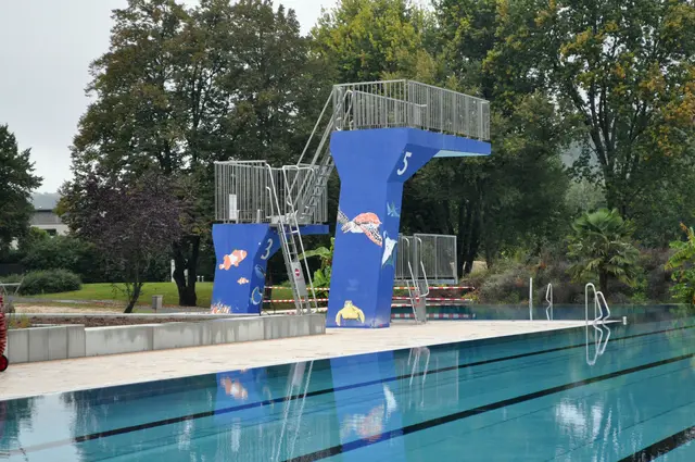 Der Sprungturm ist mit vielen Wasserbewohner bemalt. | Foto: Daniela Somers