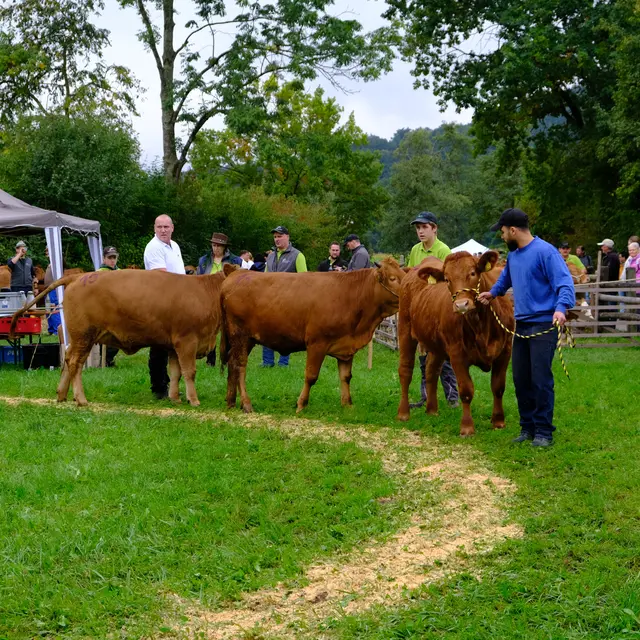 Foto: Eduard Warenik