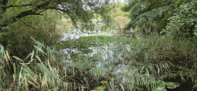 ... dann der erste Blick auf Wasser ... | Foto: privat Sibylle Tröber