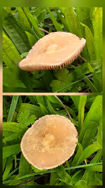 Ein ??? | Foto: privat Sibylle Tröber