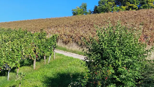 Foto: Bianca Schäfer 