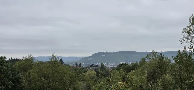 herangezoomt: der Wartberg in Heilbronn | Foto: privat Sibylle Tröber