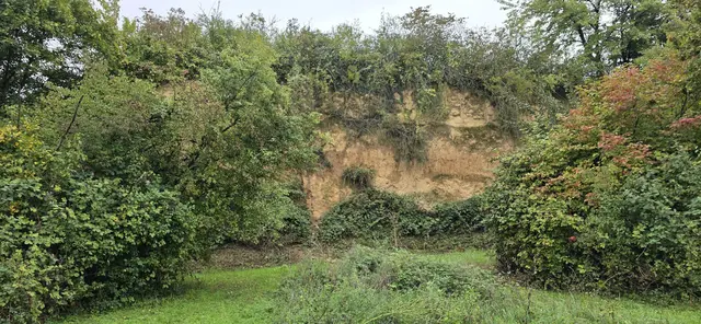 Lösswand. | Foto: privat Sibylle Tröber