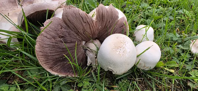 Auf dem Weg zur Einkehr ... | Foto: privat Sibylle Tröber