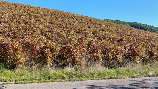 Foto: Bianca Schäfer 