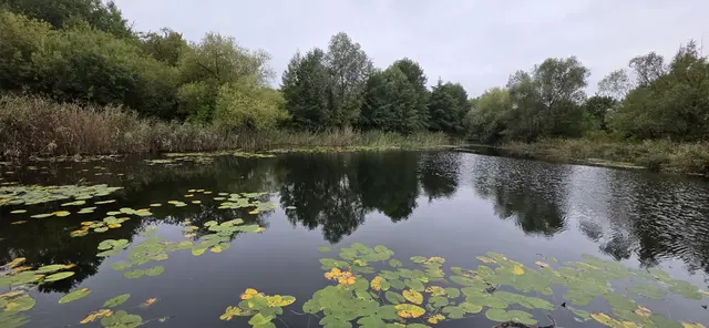 ... und dann liegt er vor uns, der See. | Foto: privat Sibylle Tröber