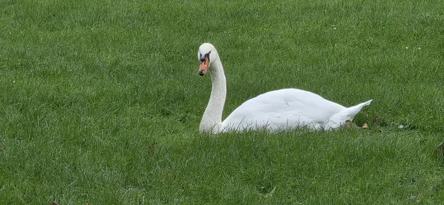 Einsam?! Zumindest alleine unterwegs. | Foto: privat Sibylle Tröber