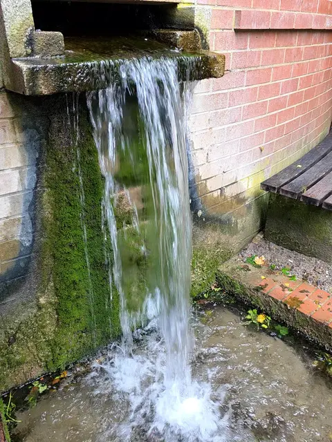 ...Wasser. | Foto: privat Sibylle Tröber