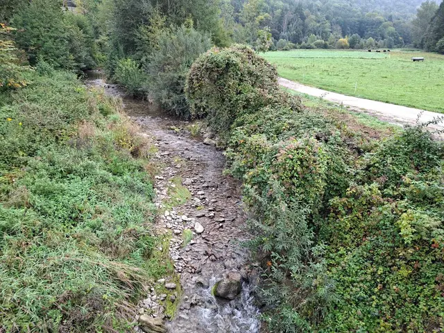 Herbstlich unterwegs🍂🍁🍂 | Foto: Ralf Röser