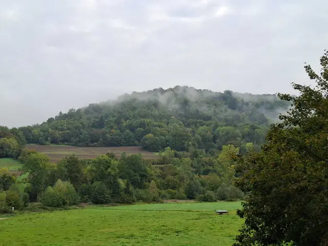 Herbstlich unterwegs🍂🍁🍂 | Foto: Ralf Röser