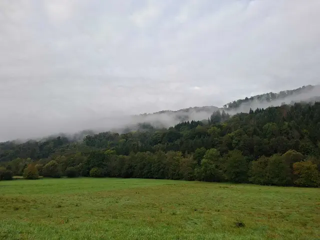 Herbstlich unterwegs🍂🍁🍂 | Foto: Ralf Röser