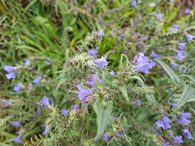 Herbstlich unterwegs🍂🍁🍂 | Foto: Ralf Röser