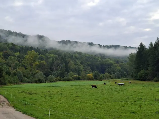 Herbstlich unterwegs🍂🍁🍂 | Foto: Ralf Röser