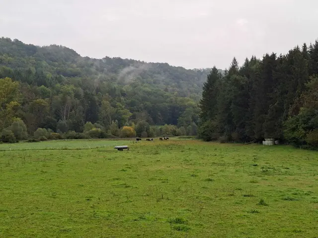 Herbstlich unterwegs🍂🍁🍂 | Foto: Ralf Röser