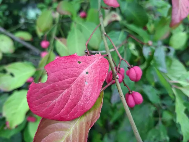 Herbstlich unterwegs🍂🍁🍂 | Foto: Ralf Röser