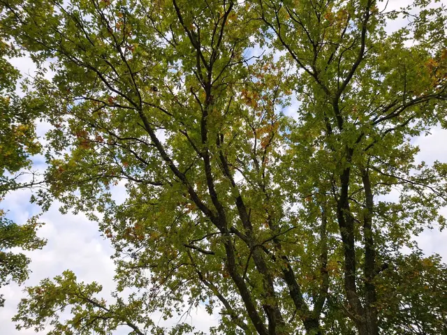 Herbstlich unterwegs🍂🍁🍂 | Foto: Ralf Röser