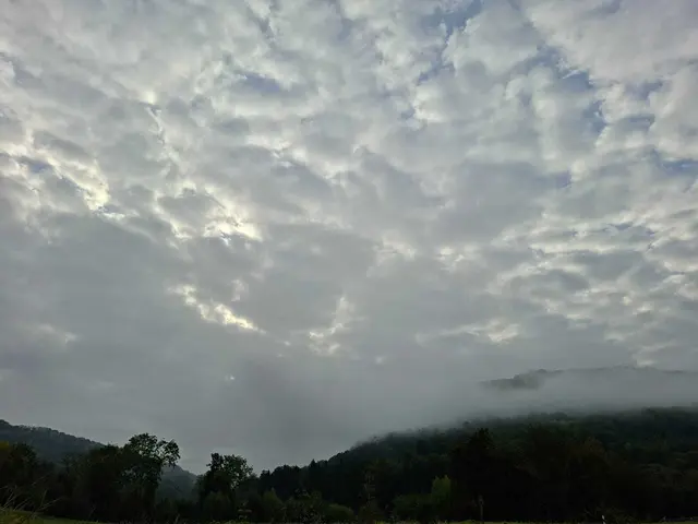 Herbstlich unterwegs🍂🍁🍂 | Foto: Ralf Röser